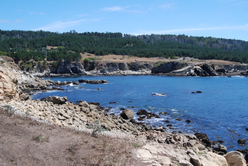 Salt Point State Park